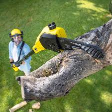 Best Pest Control for Lawns  in Glespie, IL